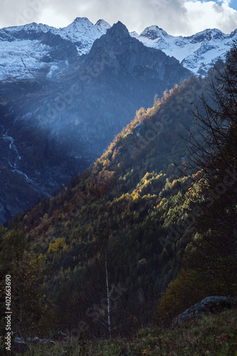 Autumn foliage in the mountain landscape
