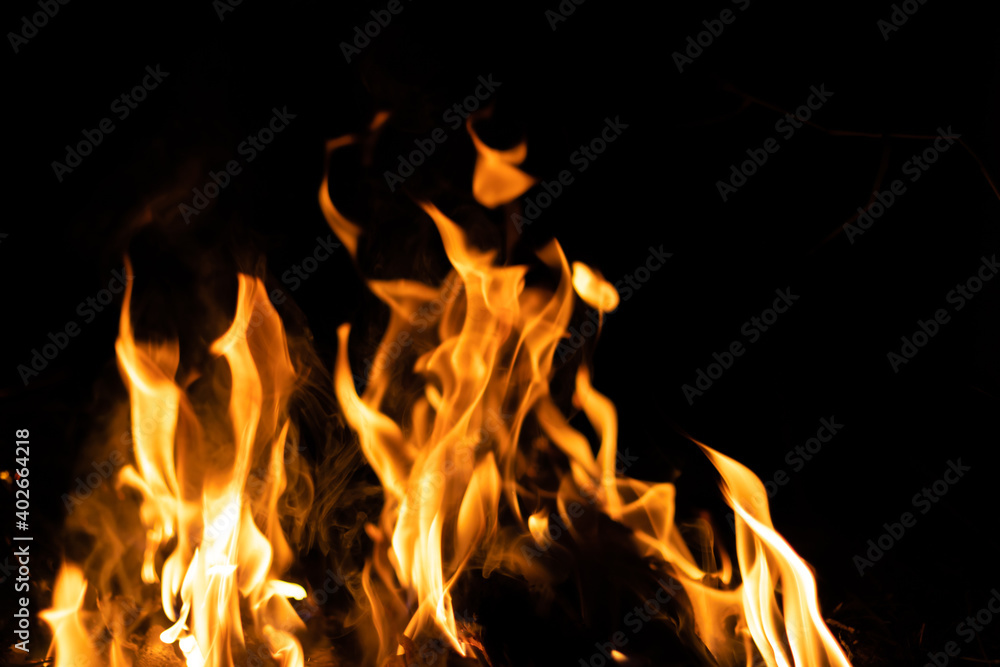 Fire flames on a black background. Abstract fiery texture. Realistic fire flames burn movement frame. Texture for Design. The texture of fire. Fire flames background. Blazing campfire. Sensitive focus Fire flames on a black background. Abstract fiery texture. Realistic fire flames burn movement frame. Texture for Design. The texture of fire. Fire flames background. Blazing campfire. Sensitive focus