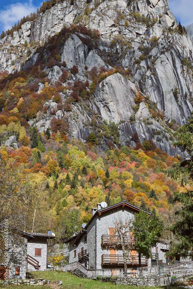 Autumn foliage in the mountain landscape