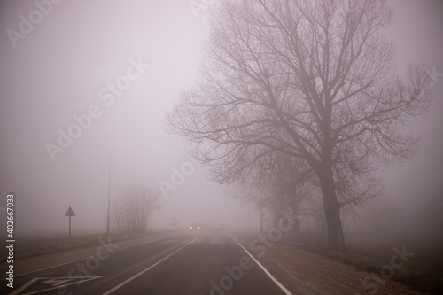 thick impenetrable fog in the morning on a winter day on the road with bare trees, dramatic mysterious mood.