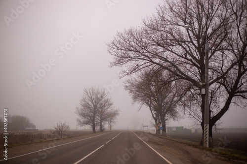foggy morning on a winter day in the countryside, bare trees on the side of the road, dramatic mysterious mood.