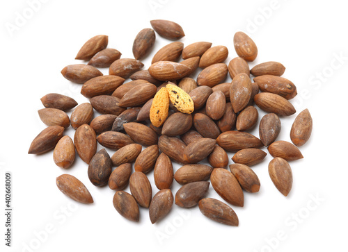 Torreya grandis seeds nut on white background