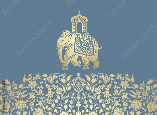 Elephant, festival , Jaipur, Royal Rajasthan, India, Asia	
