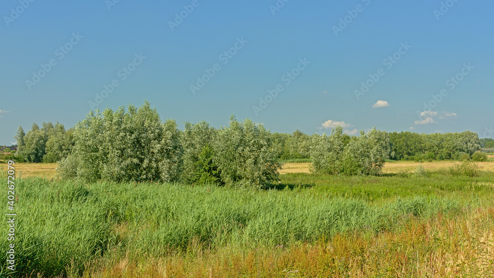 Sunny fields with trees under a clear blue sky in Kalkense Meersen nature reserve, Flanders, Belgium Sunny fields with trees under a clear blue sky in Kalkense Meersen nature reserve, Flanders, Belgium