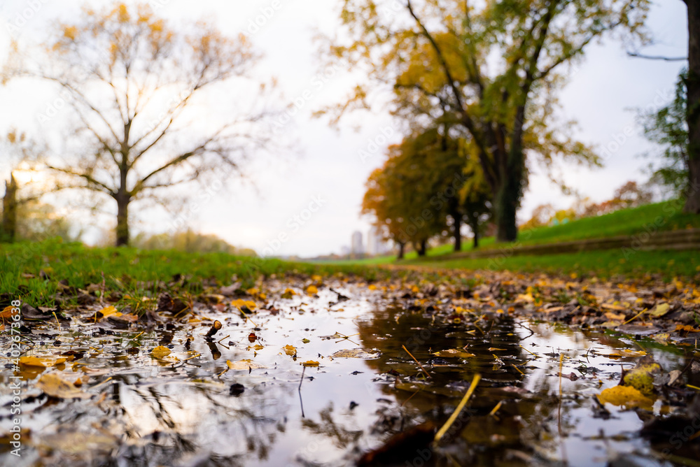 Fototapeta premium Image of water pound at park, Zagreb, Croatia.