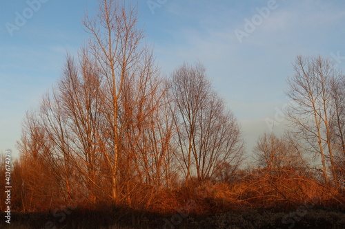 Fototapeta Naklejka Na Ścianę i Meble -  Sielski widok