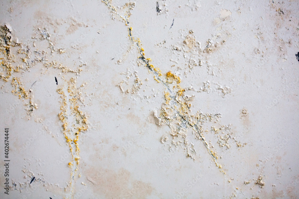 Background, white wall covered with mold Background, white wall covered with mold