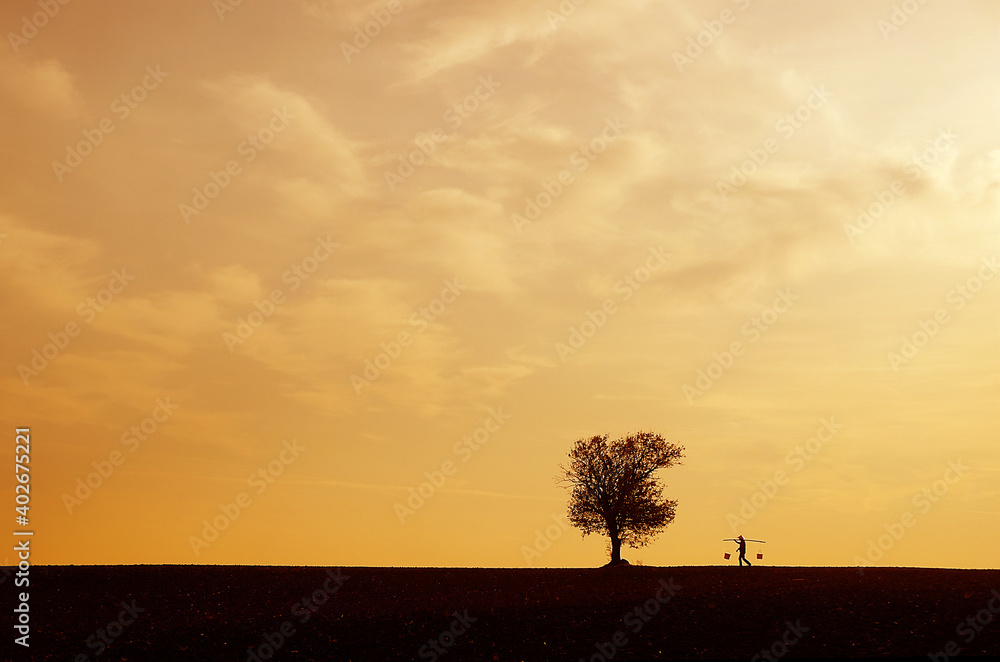 Single tree Single tree