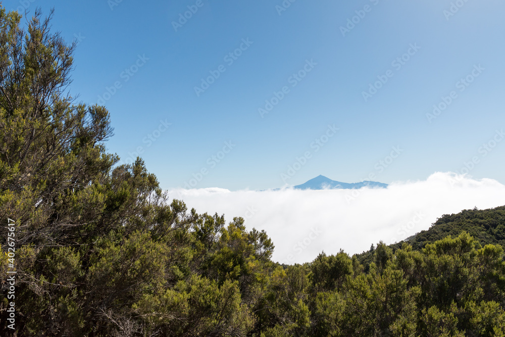 Fototapeta premium Über den Woken von La Gomera
