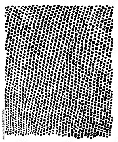 Reptile skin. Animal print background.