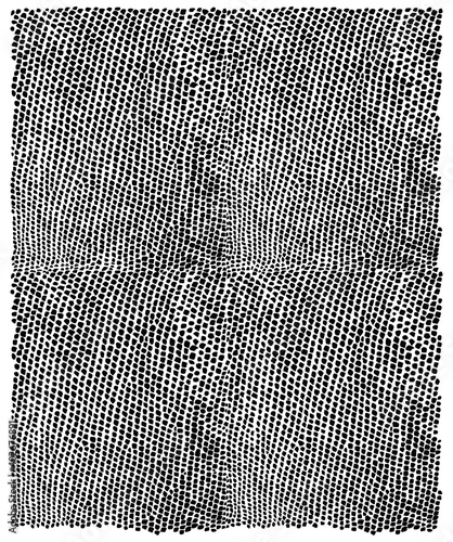 Reptile skin. Animal print background.