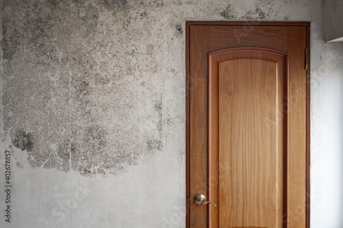 The white wall with the door is covered with black mold