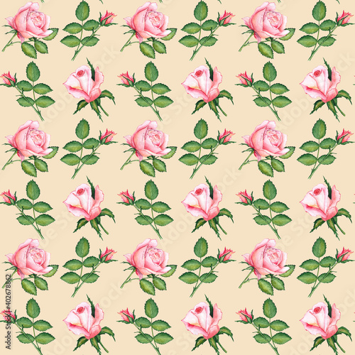 seamless pattern with pink flowers. pink roses on the yellow seamless background