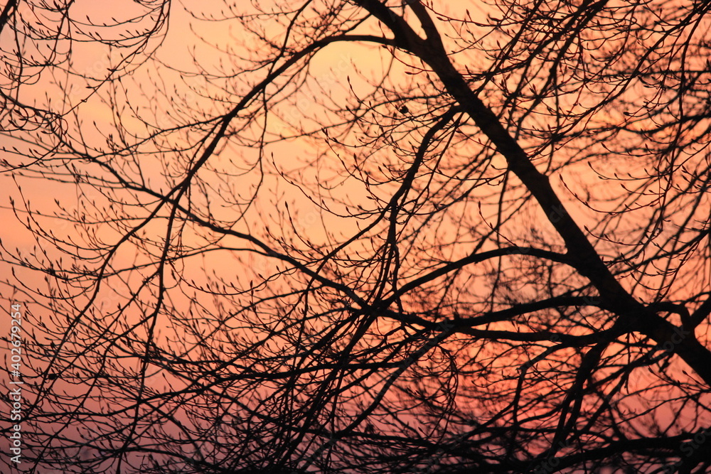 Obraz premium beautiful evening glow or dawn 