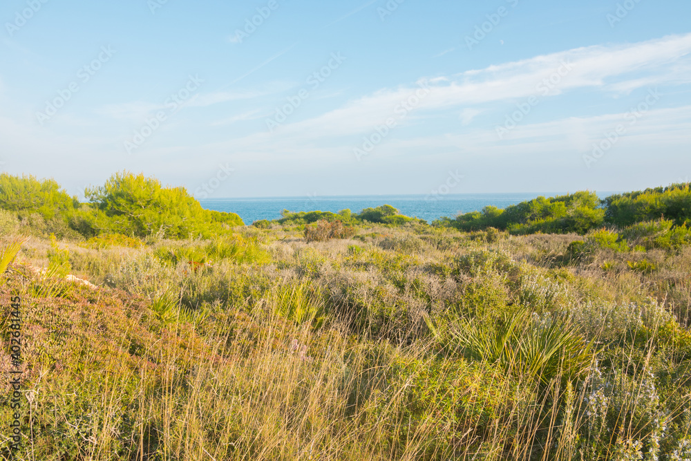 Mediterranean sea coast, flora and mountains on a sunny summer day. Beautiful Serra d'Irta natural park, Castellon province, Valencian community, Spain. Located between Peniscola and Alcossebre.