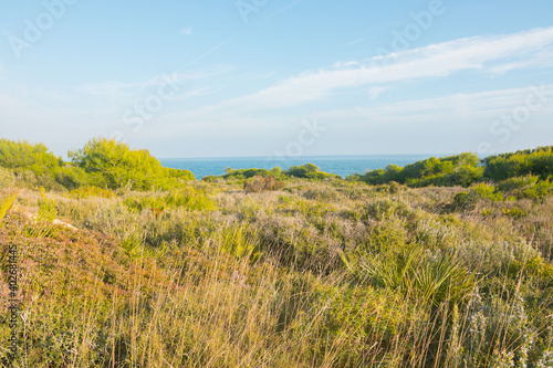 Mediterranean sea coast, flora and mountains on a sunny summer day. Beautiful Serra d'Irta natural park, Castellon province, Valencian community, Spain. Located between Peniscola and Alcossebre.