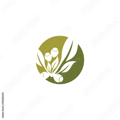 Eucalyptus leaves logo vector template design illustration