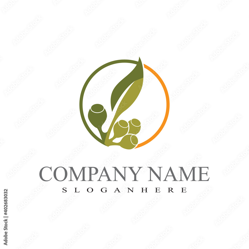 Fototapeta premium Eucalyptus leaves logo vector template design illustration