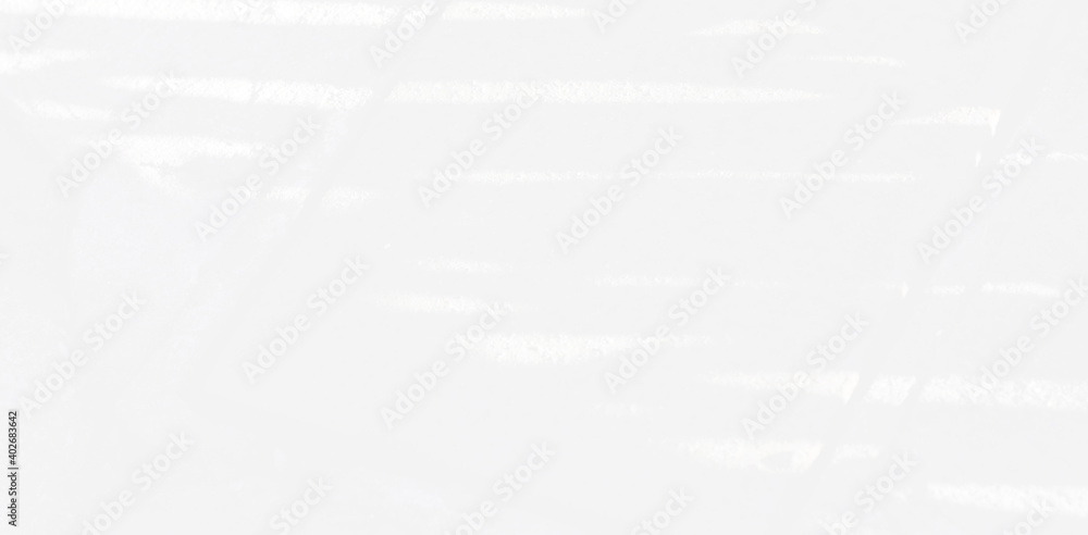 Abstract Shadow. blur background. gray leaves that reflect concrete walls on a white wall surface for blurred backgrounds and monochrome wallpapers. Abstract Shadow. blur background. gray leaves that reflect concrete walls on a white wall surface for blurred backgrounds and monochrome wallpapers.