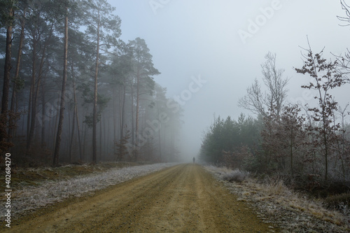 samotna postać na leśnej drodze w zimowym zamglonym lesie