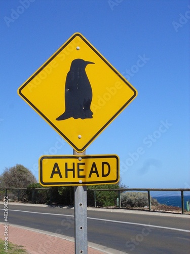 Pinguine im Straßenverkehr
