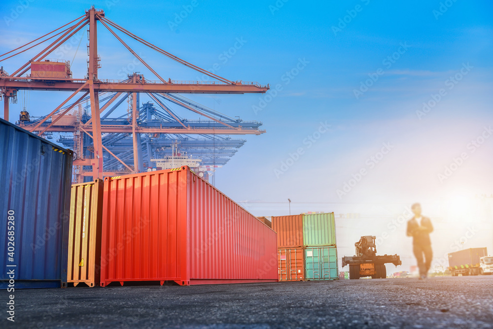 Containers and cargo cranes in the port, international cargo shipping concept