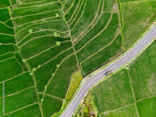 Aerial Shot Rice Fields - Bali Indonesia