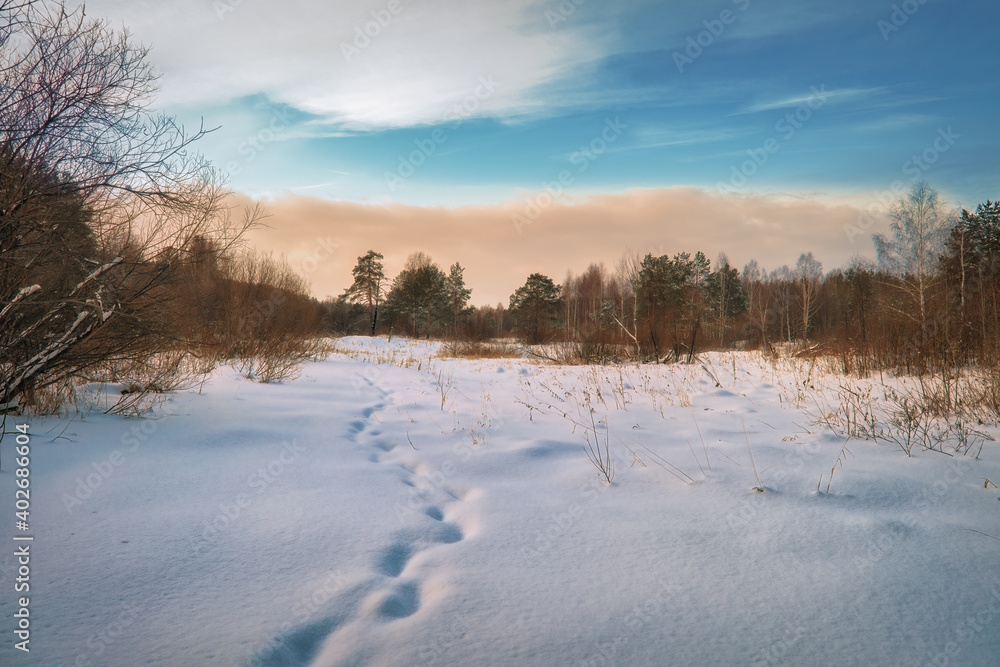 Winter landscape sunset in the forest with snowy field in the foreground.