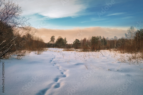 Winter landscape sunset in the forest with snowy field in the foreground.