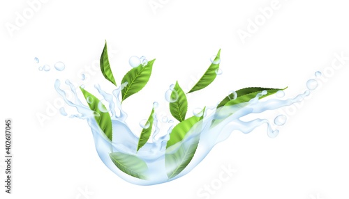 Tea leaves in water. Realistic green plant in transparent splash of falling liquid. Isolated cold beverage mockup for drink advertising. Aqua flow and drops with floral elements, vector illustration