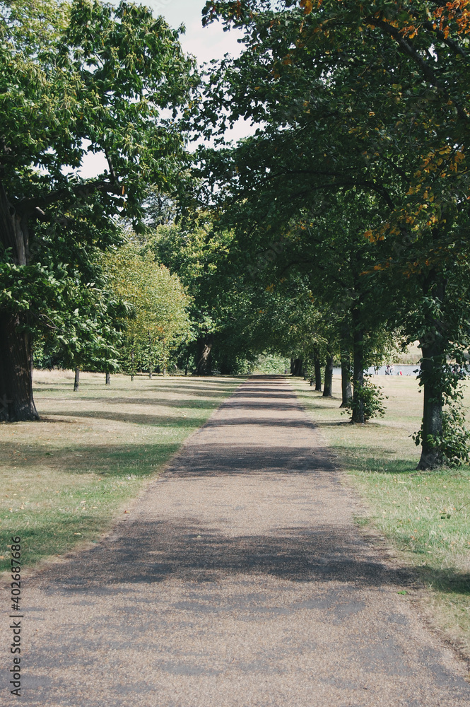 view of a tree lined Hyde Park in London