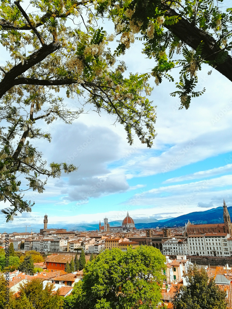view of Florence from above. Arno river, cathedral, roofs, tower, chapel, bell tower, old bridge, view of Florence from above. Arno river, cathedral, roofs, tower, chapel, bell tower, old bridge,
