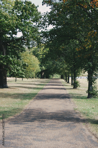 view of a tree lined Hyde Park in London