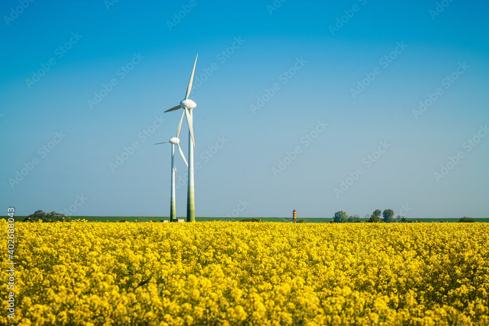 Ostfriesische Landschaft