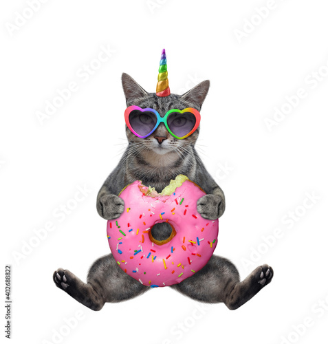 A gray cat unicorn in heart shaped sunglasses sits with a pink donut. White background. Isolated. © iridi66