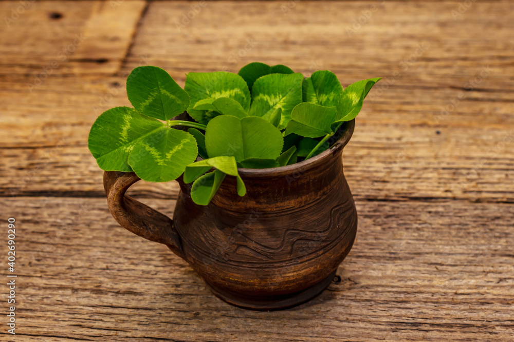 Fresh clover bouquet in ceramic cup. Good luck symbol, St.Patrick's Day concept Fresh clover bouquet in ceramic cup. Good luck symbol, St.Patrick's Day concept
