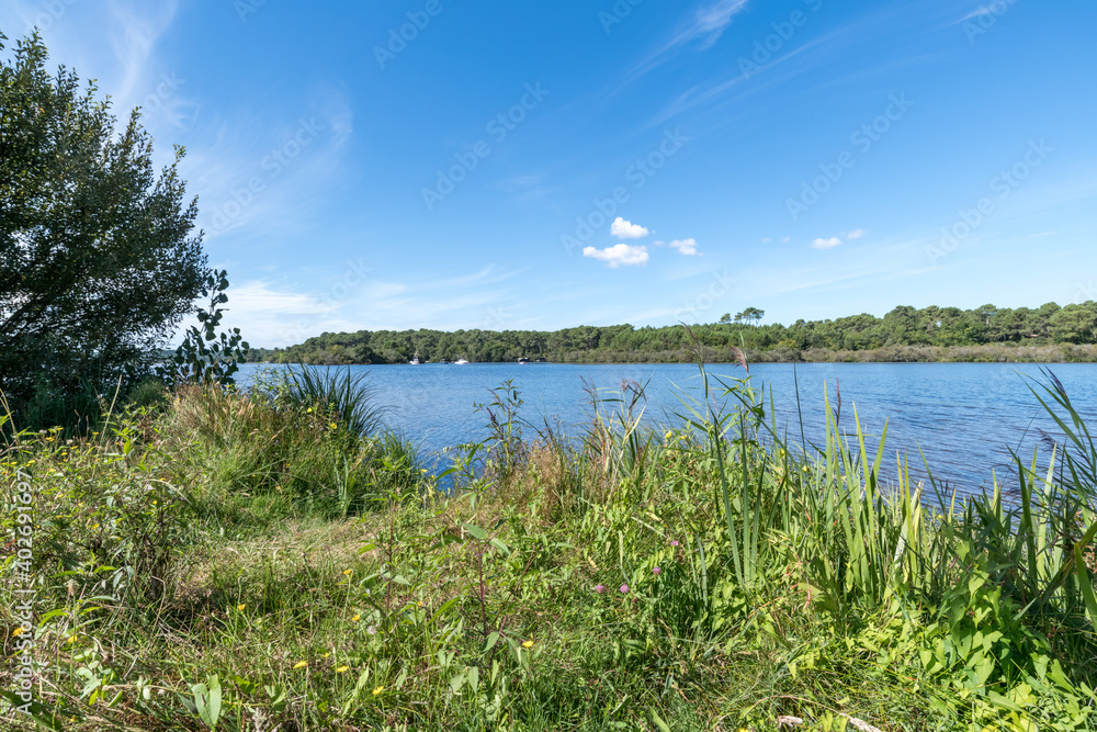 BISCARROSSE (Landes, France), vue sur le lac