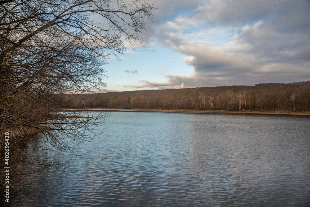 Lake in the autumn. Leafless trees concept