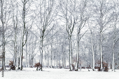 Eifel Winter © forstfotografie.de