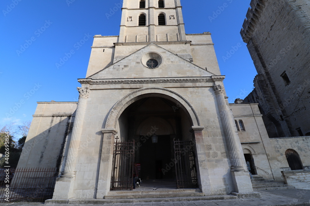 Fototapeta premium La cathédrale Notre Dame des Doms d'Avignon, construite au 12 ème siècle, vue de l'extérieur, ville de Avignon, département du Vaucluse, France
