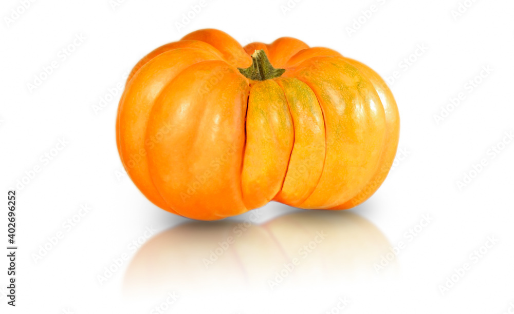 Obraz premium pumpkin isolated on white background harvesting 