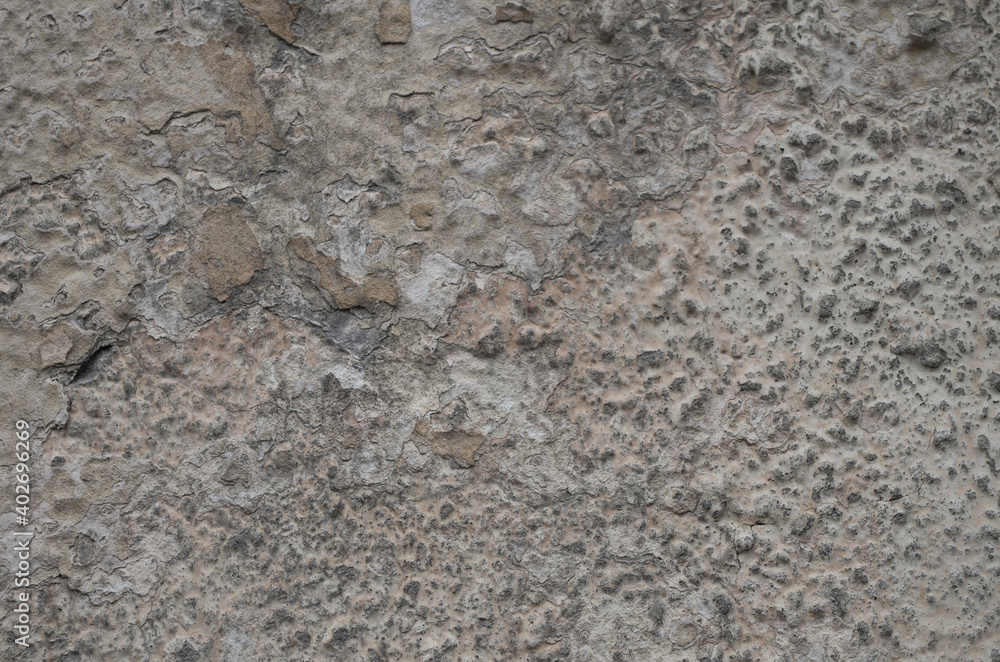 Gray concrete wall. Gray concrete wall.