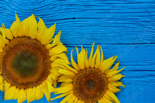 sunflowers on an old wooden background with copy space