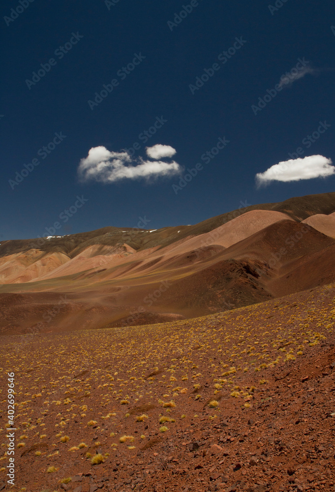 Unique arid landscape very high in the Andes cordillera. Beautiful view of the brown land, yellow grasses, valley and colorful mountains in Laguna Brava, La Rioja, Argentina.