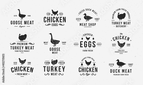 Poultry logo set. Vintage Hen, Goose, Duck, Turkey logo templates with silhouettes. Poultry emblems for butcher shop, restaurant, steak house, grocery store. Vector illustration