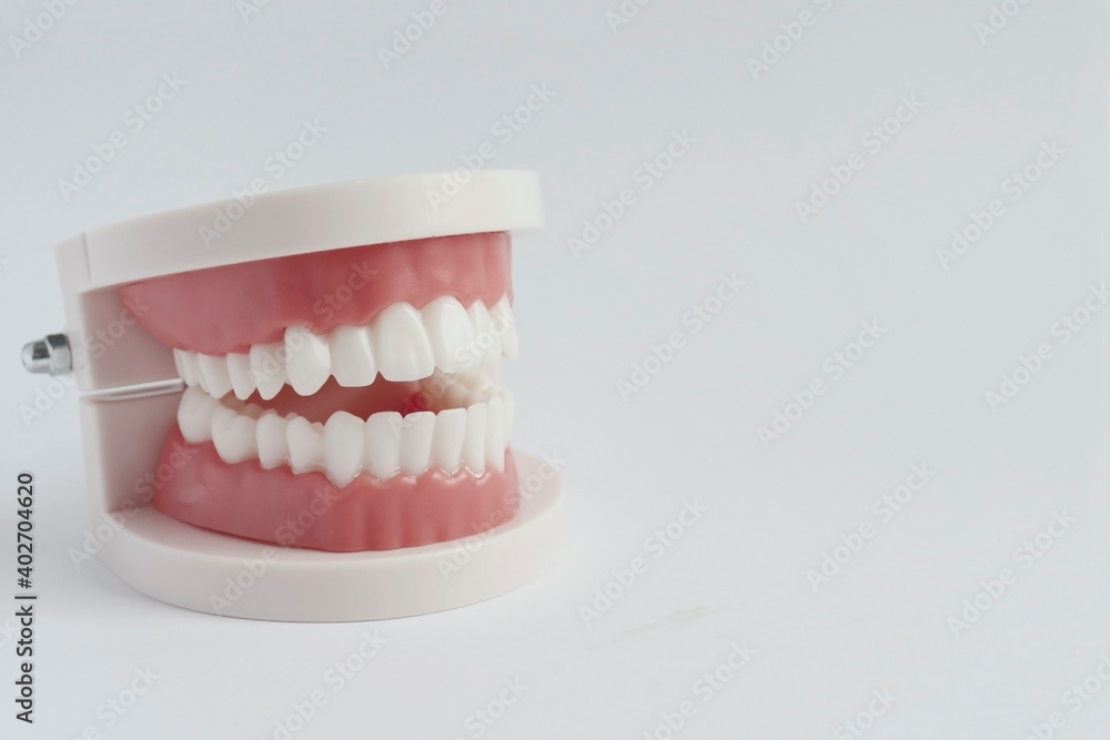 Obraz premium Dental model of human teeth. Medical banner. White smile, whitening. Brushing your teeth. Treatment of dental caries. Care for the oral cavity. A dental prosthesis. Implantation.