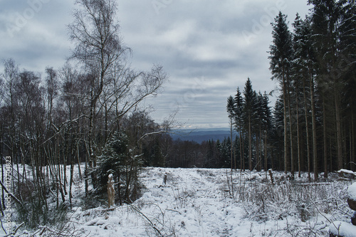 Winterausblick 