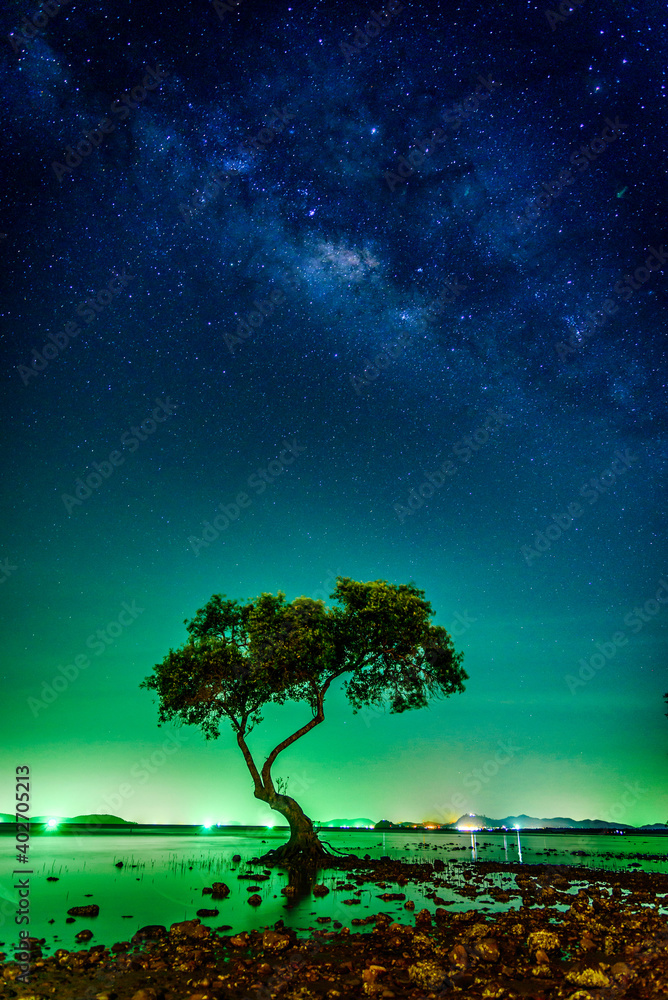 Landscape with Milky way galaxy. Night sky with stars and silhouette mangrove tree in sea. Long exposure photograph. Landscape with Milky way galaxy. Night sky with stars and silhouette mangrove tree in sea. Long exposure photograph.