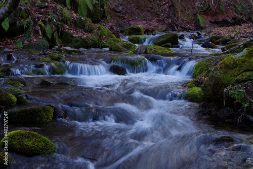 自然観照　川　川の上流　小川 photo