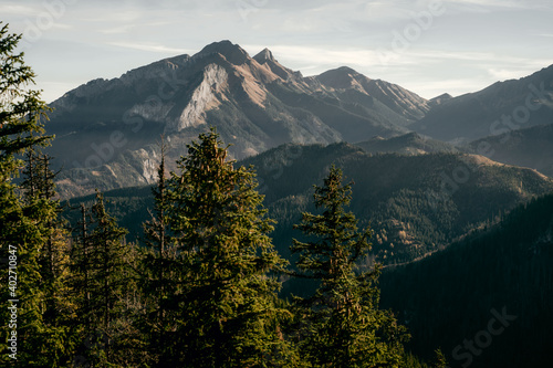 Fototapeta Naklejka Na Ścianę i Meble -  tatry polskie